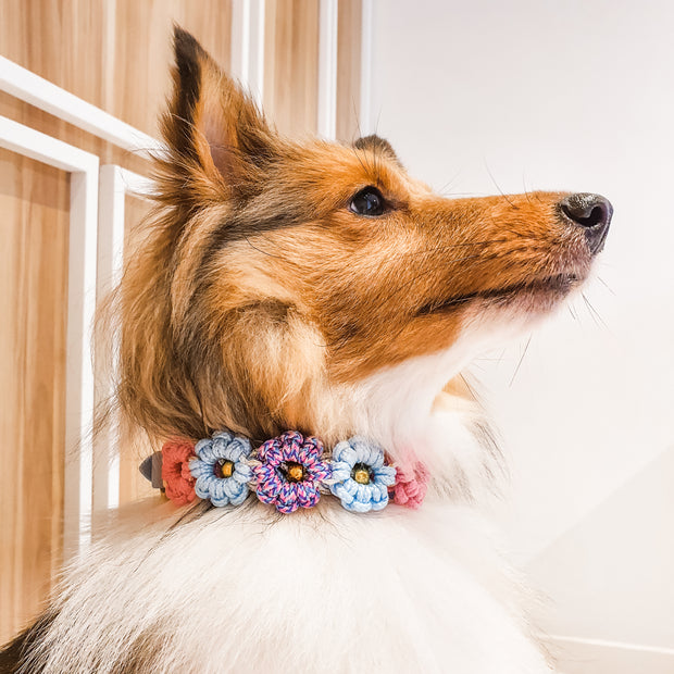 🌸Flower Dog Collar, Adjustable, Made in Singapore